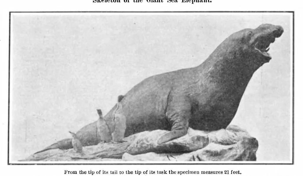 An illustration from Scientific American, Vol. 93, No. 4 (July 1905), 1905, leaf 10