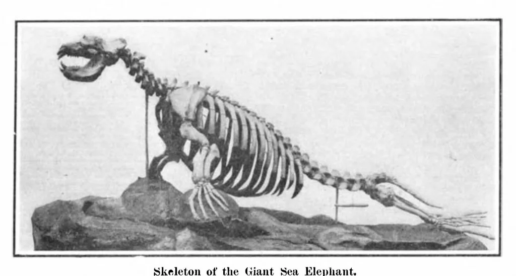 An illustration from Scientific American, Vol. 93, No. 4 (July 1905), 1905, leaf 10