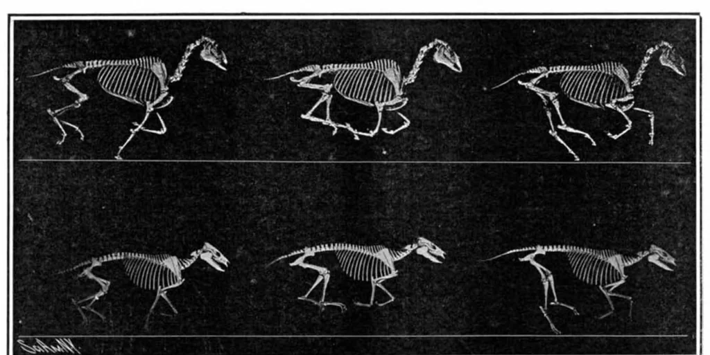 An illustration from Scientific American, Vol. 93, No. 5 (July 1905), 1905, leaf 4