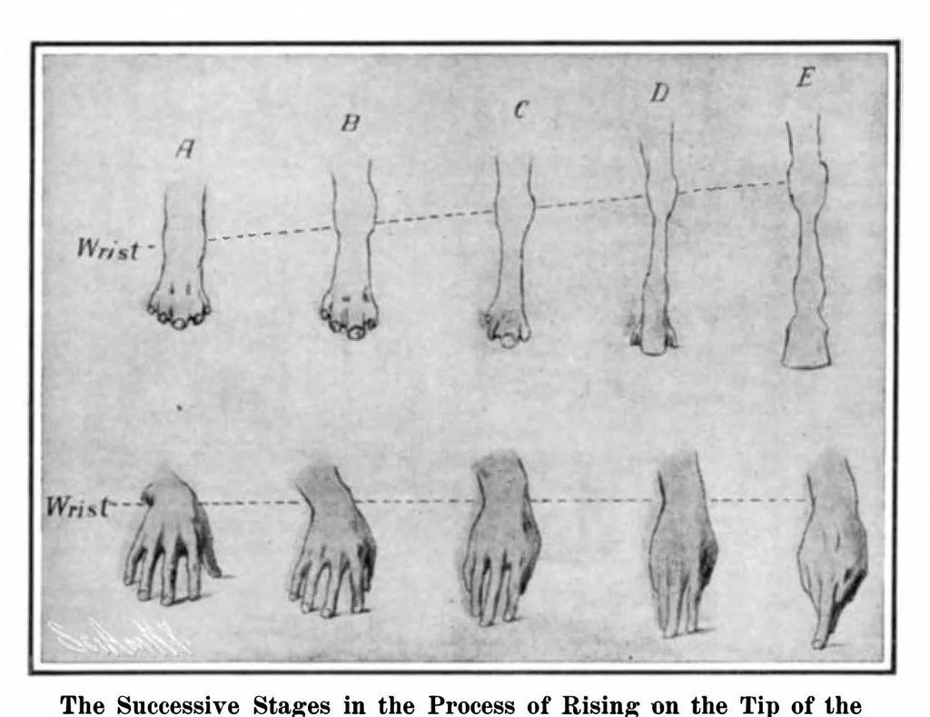 An illustration from Scientific American, Vol. 93, No. 5 (July 1905), 1905, leaf 4