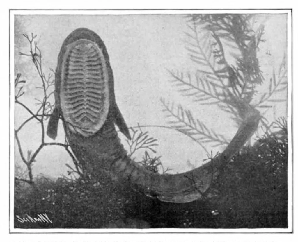 An illustration from Scientific American, Vol. 93, No. 9 (August 1905), 1905, leaf 10