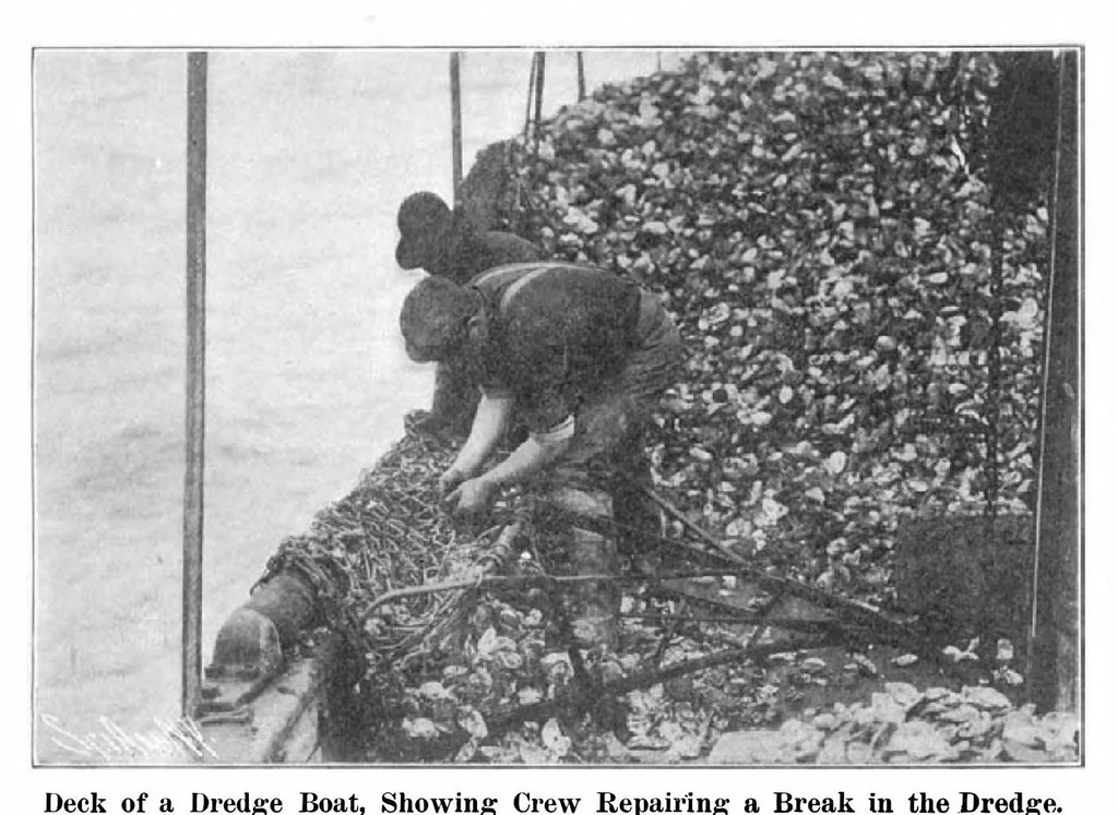 An illustration from Scientific American, Vol. 93, No. 11 (September 1905), 1905, leaf 8