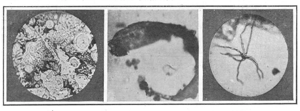 An illustration from Scientific American, Vol. 93, No. 14 (September 1905), 1905, leaf 10