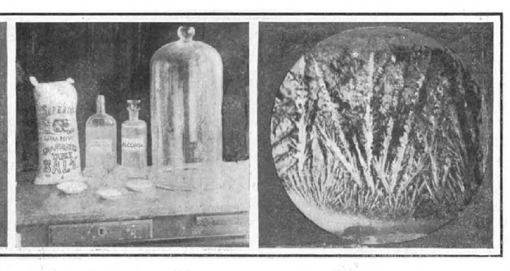 An illustration from Scientific American, Vol. 93, No. 14 (September 1905), 1905, leaf 10