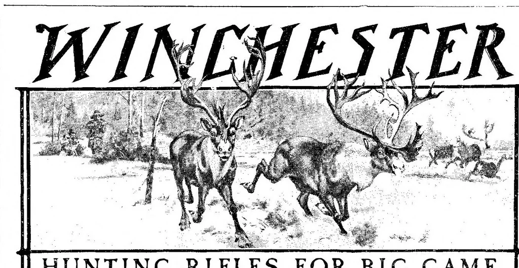 An illustration from Scientific American, Vol. 93, No. 17 (October 1905), 1905, leaf 13