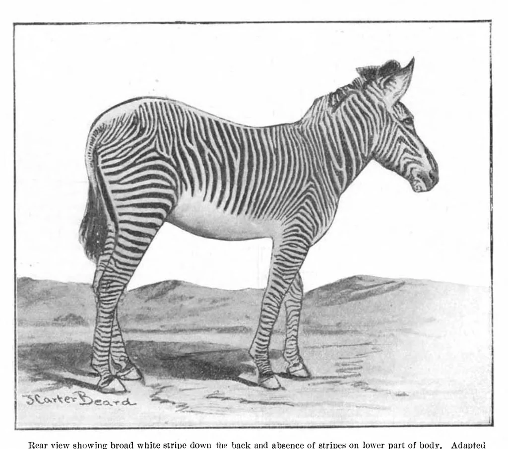 An illustration from Scientific American, Vol. 93, No. 18 (October 1905), 1905, leaf 10