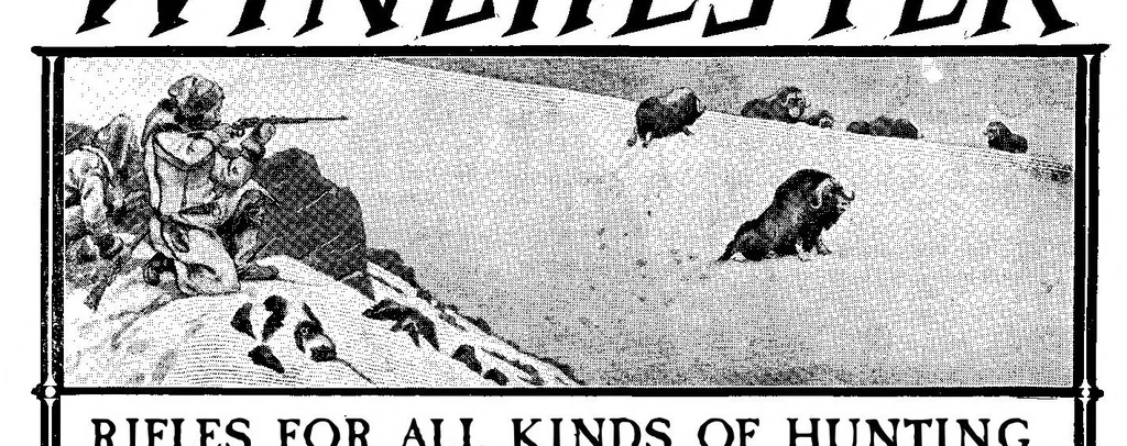 An illustration from Scientific American, Vol. 93, No. 21 (November 1905), 1905, leaf 16
