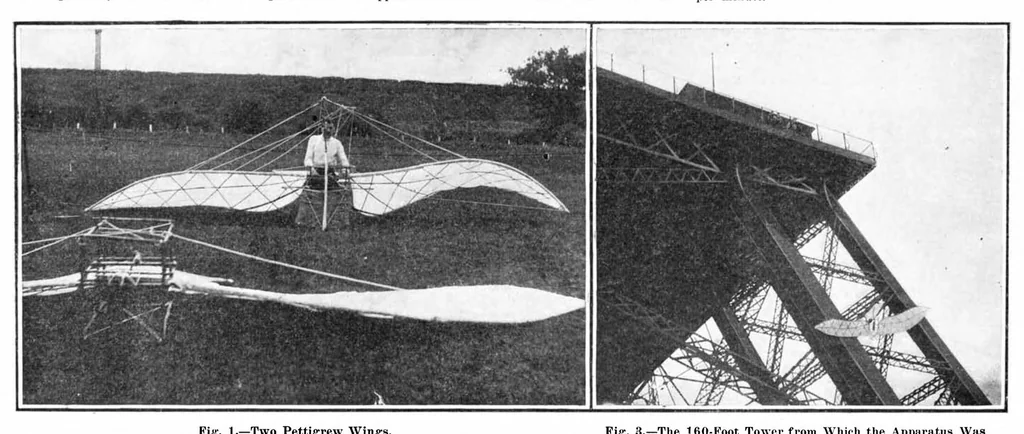 An illustration from Scientific American, Vol. 93, No. 25 (December 1905), 1905, leaf 10