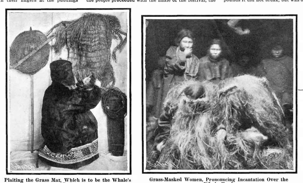 An illustration from Scientific American, Vol. 93, No. 25 (December 1905), 1905, leaf 12