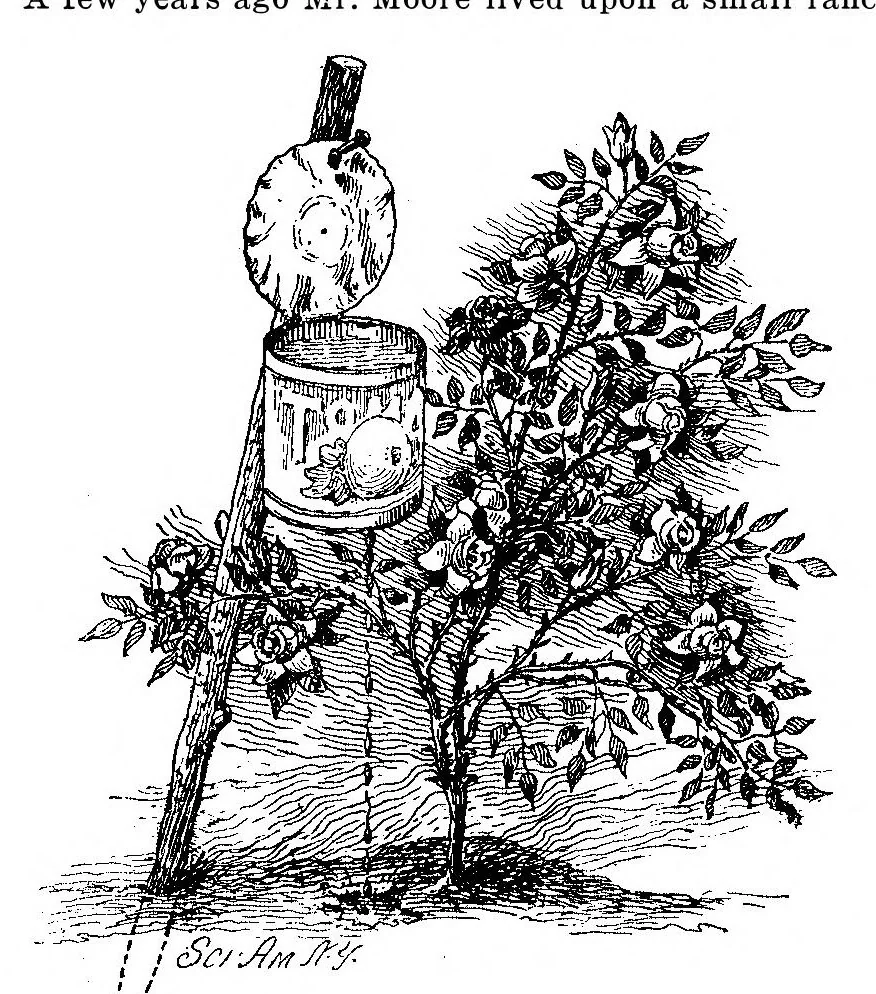 An illustration from Scientific American, Vol. 94, No. 1 (January 1906), 1906, leaf 6