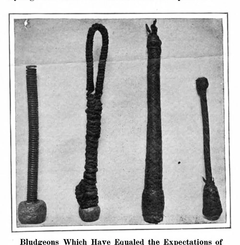 An illustration from Scientific American, Vol. 94, No. 4 (January 1906), 1906, leaf 4