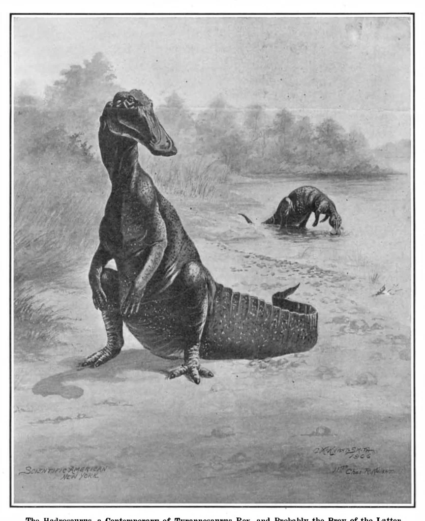 An illustration from Scientific American, Vol. 94, No. 5 (February 1906), 1906, leaf 8