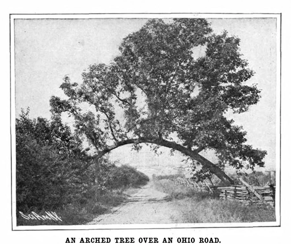 An illustration from Scientific American, Vol. 94, No. 7 (February 1906), 1906, leaf 10