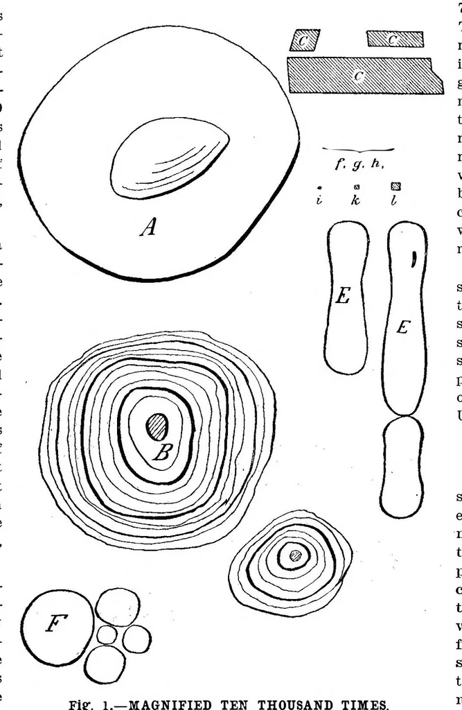 An illustration from Scientific American, Vol. 94, No. 7 (February 1906), 1906, leaf 5