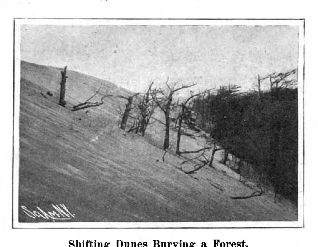 An illustration from Scientific American, Vol. 94, No. 8 (February 1906), 1906, leaf 8