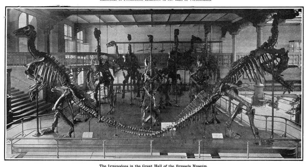 An illustration from Scientific American, Vol. 94, No. 11 (March 1906), 1906, leaf 10