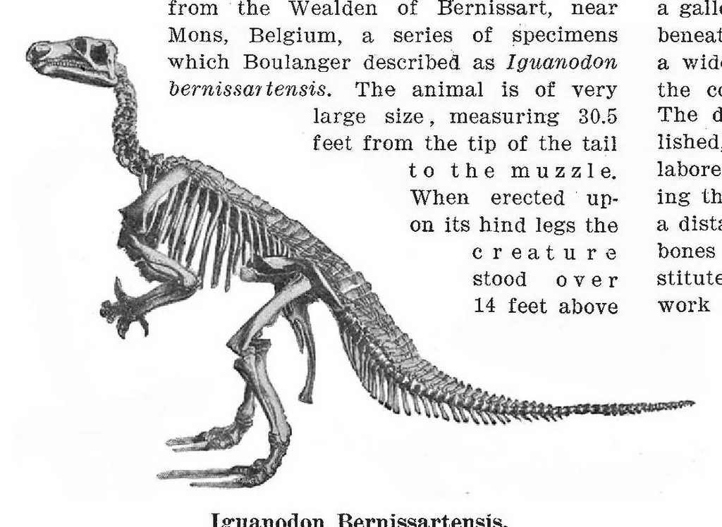 An illustration from Scientific American, Vol. 94, No. 11 (March 1906), 1906, leaf 10