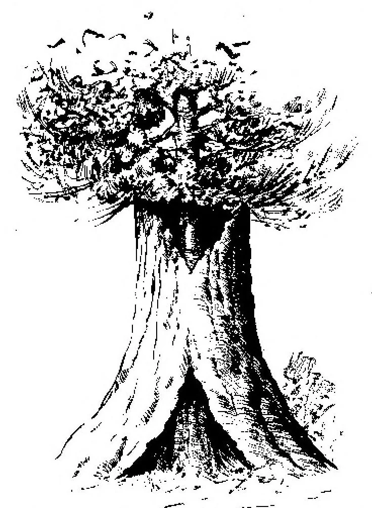An illustration from Scientific American, Vol. 94, No. 18 (May 1906), 1906, leaf 6