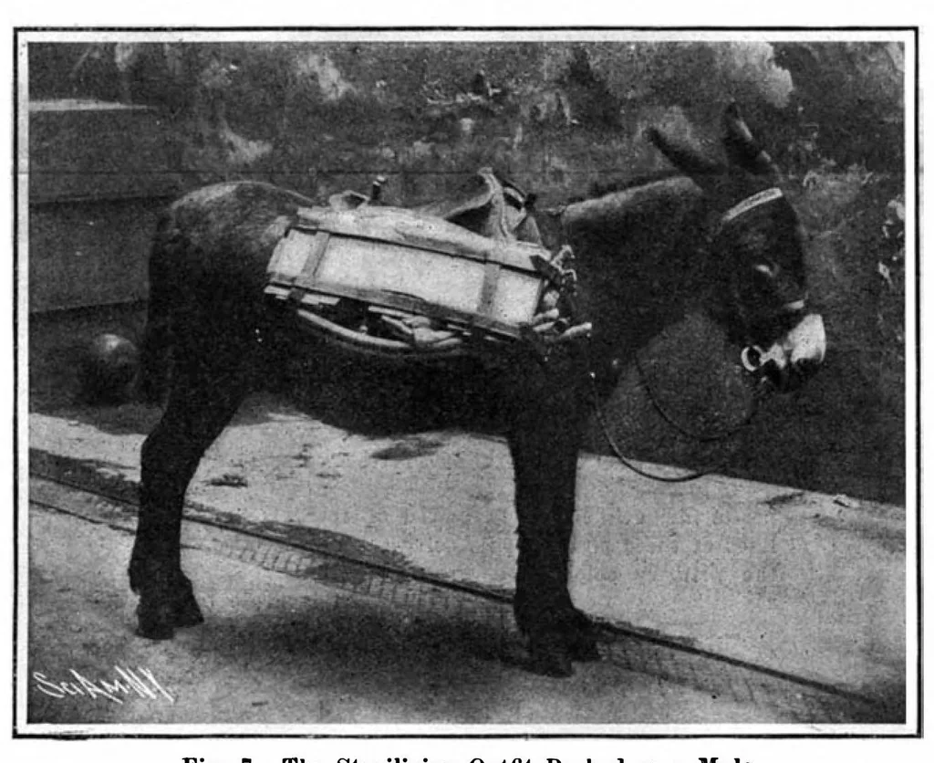 An illustration from Scientific American, Vol. 94, No. 22 (June 1906), 1906, leaf 7