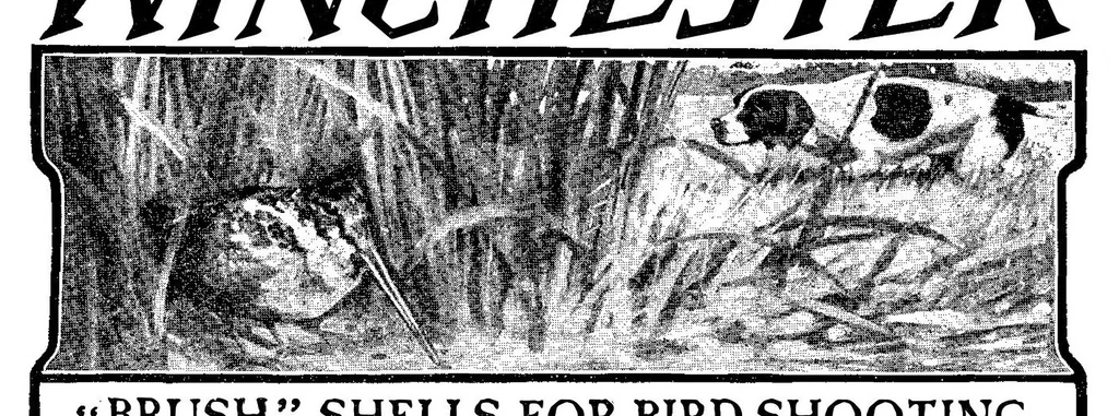 An illustration from Scientific American, Vol. 94, No. 24 (June 1906), 1906, leaf 18