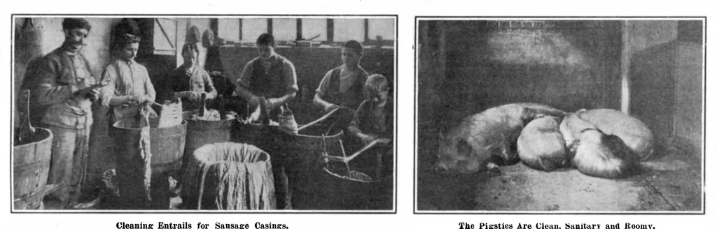 An illustration from Scientific American, Vol. 95, No. 4 (July 1906), 1906, leaf 8