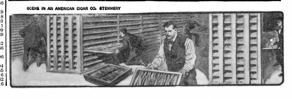 An illustration from Scientific American, Vol. 95, No. 8 (August 1906), 1906, leaf 16