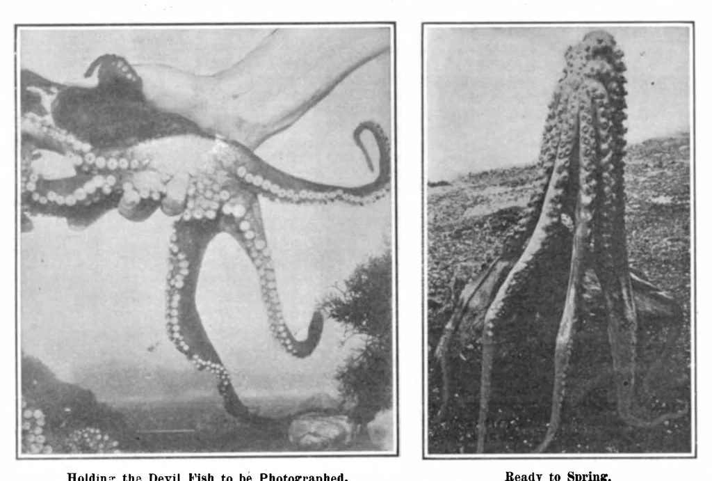 An illustration from Scientific American, Vol. 95, No. 16 (October 1906), 1906, leaf 10