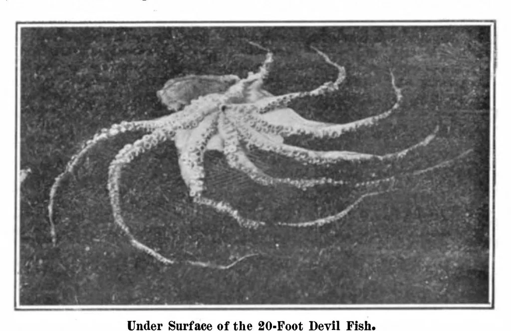 An illustration from Scientific American, Vol. 95, No. 16 (October 1906), 1906, leaf 10