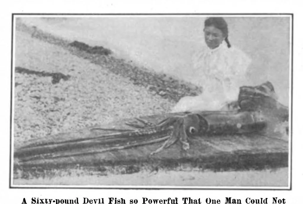 An illustration from Scientific American, Vol. 95, No. 16 (October 1906), 1906, leaf 9
