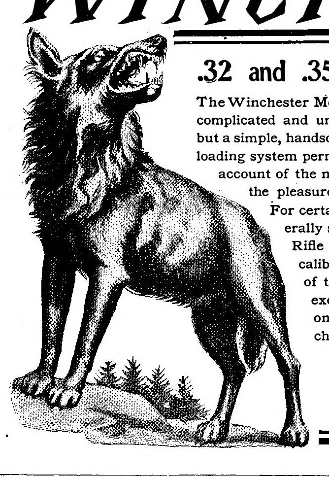 An illustration from Scientific American, Vol. 95, No. 20 (November 1906), 1906, leaf 17