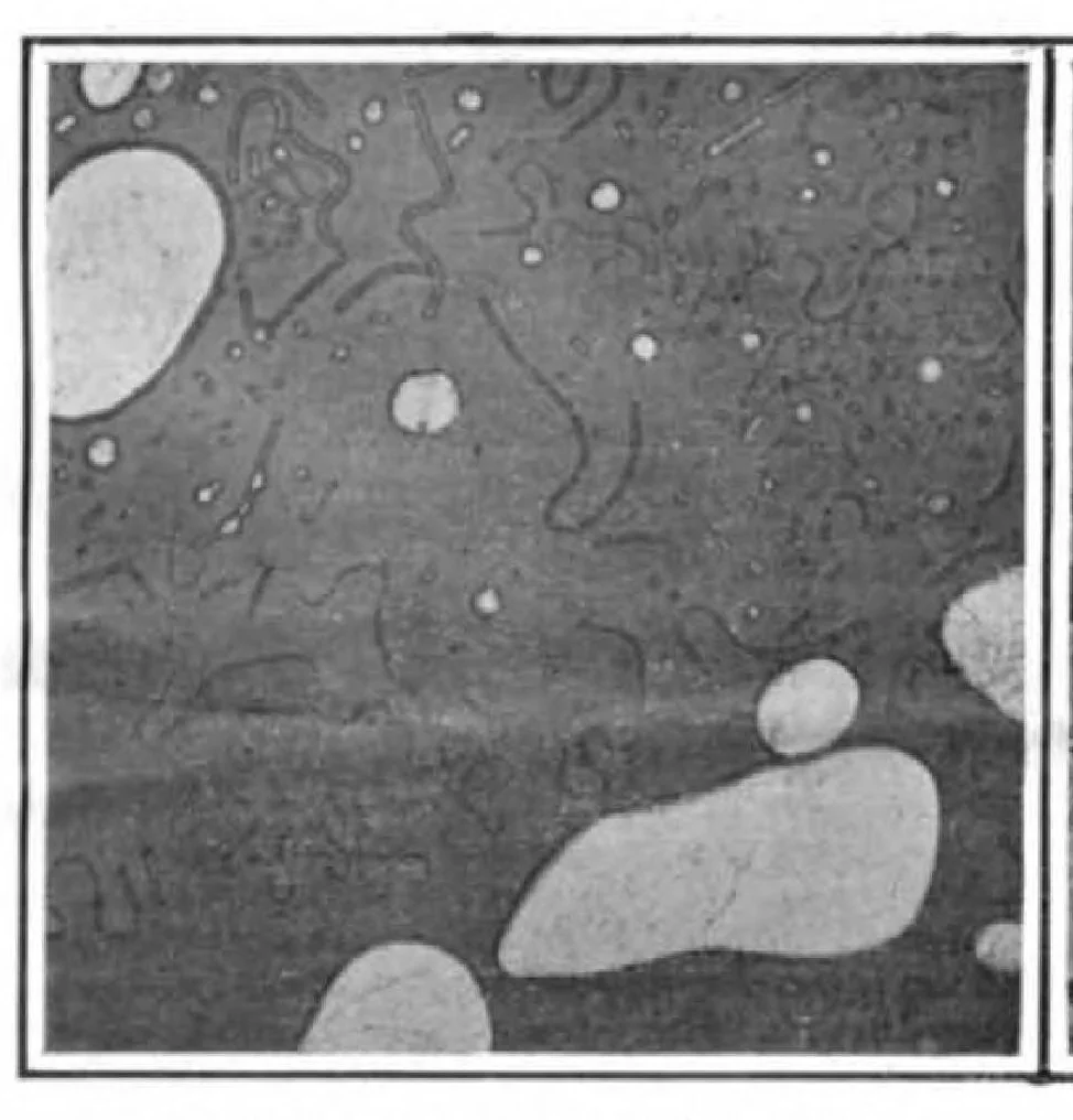 An illustration from Scientific American, Vol. 95, No. 21 (November 1906), 1906, leaf 10