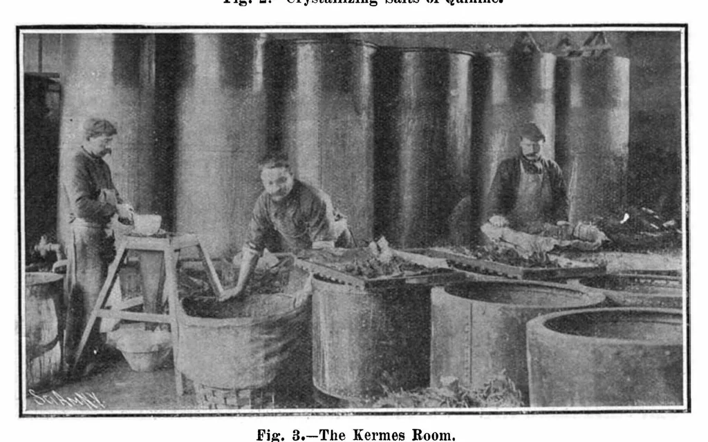 An illustration from Scientific American, Vol. 95, No. 23 (December 1906), 1906, leaf 6