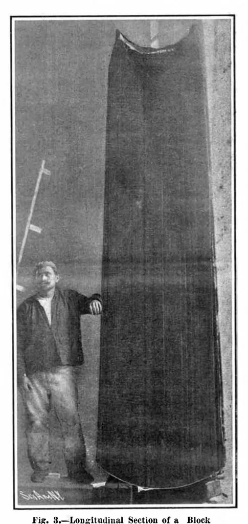 An illustration from Scientific American, Vol. 96, No. 1 (January 1907), 1907, leaf 5