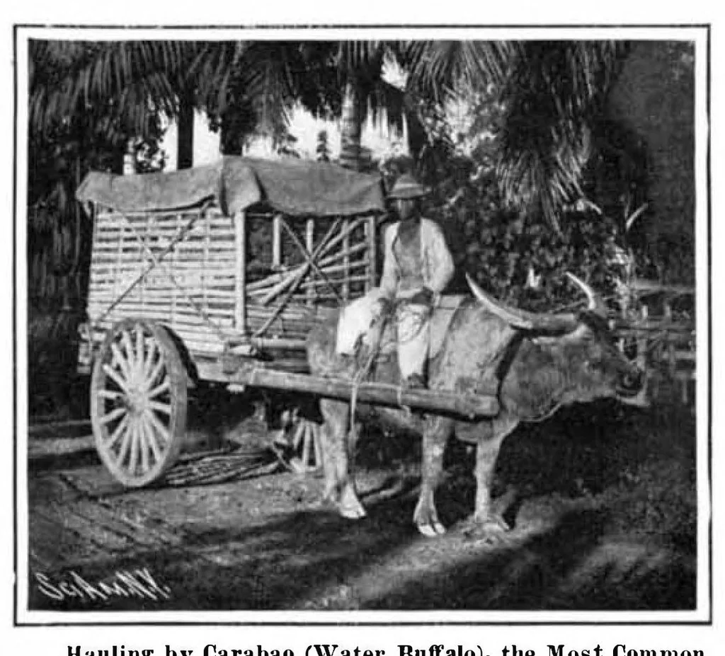 An illustration from Scientific American, Vol. 96, No. 7 (February 1907), 1907, leaf 7