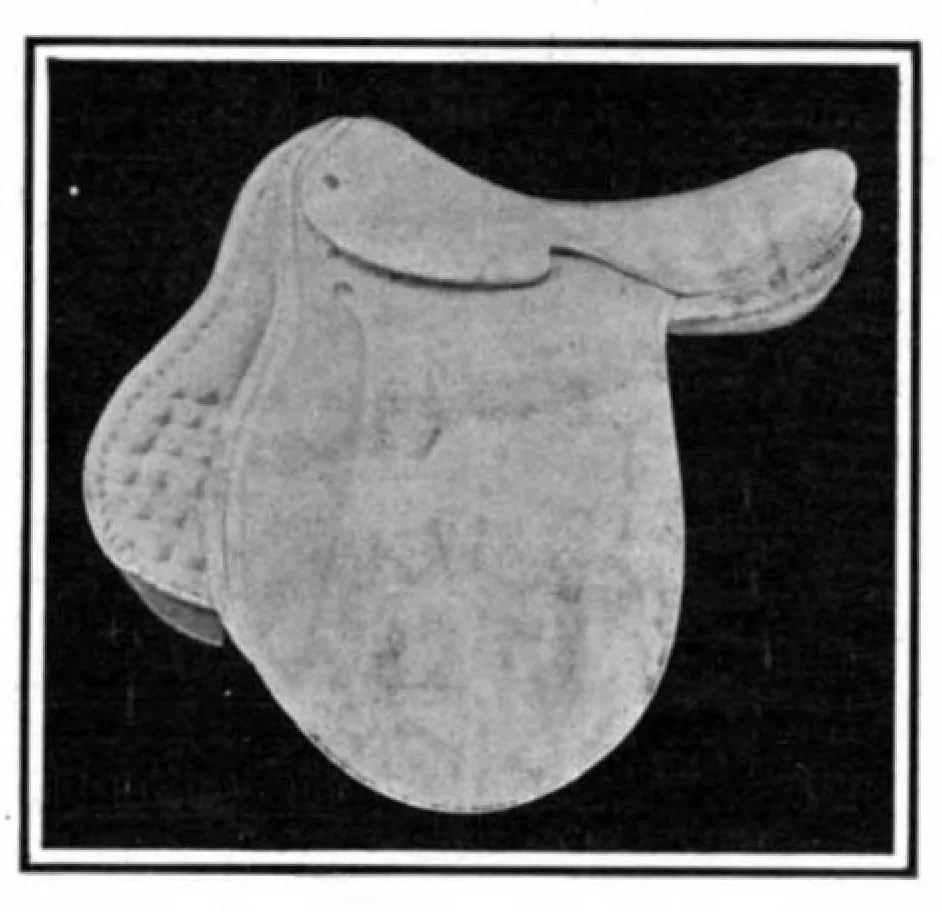 An illustration from Scientific American, Vol. 96, No. 8 (February 1907), 1907, leaf 14