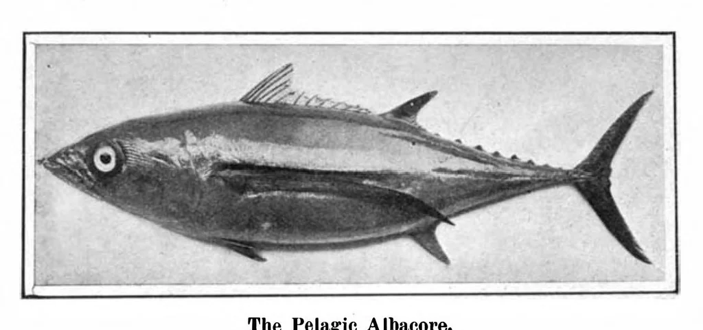 An illustration from Scientific American, Vol. 96, No. 9 (March 1907), 1907, leaf 11