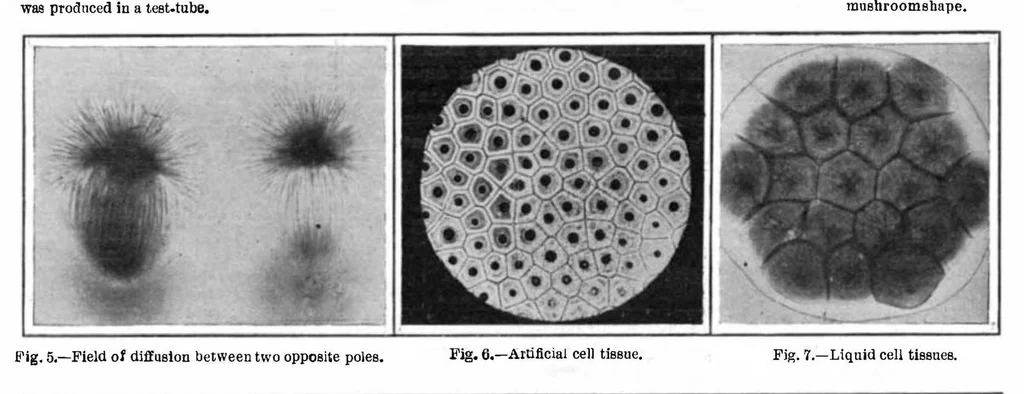 An illustration from Scientific American, Vol. 96, No. 11 (March 1907), 1907, leaf 10