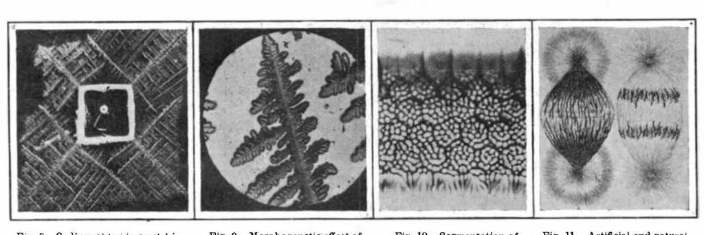 An illustration from Scientific American, Vol. 96, No. 11 (March 1907), 1907, leaf 10