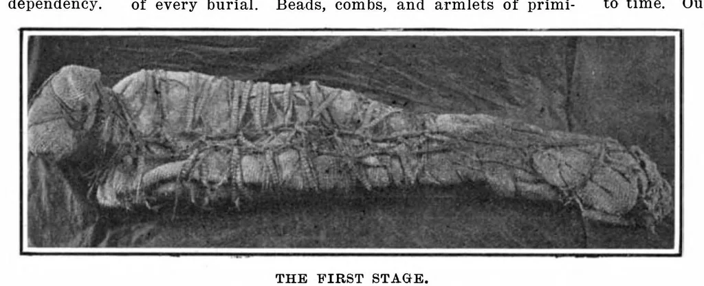 An illustration from Scientific American, Vol. 96, No. 13 (March 1907), 1907, leaf 7