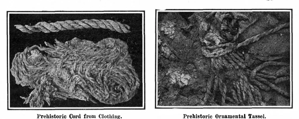 An illustration from Scientific American, Vol. 96, No. 13 (March 1907), 1907, leaf 8