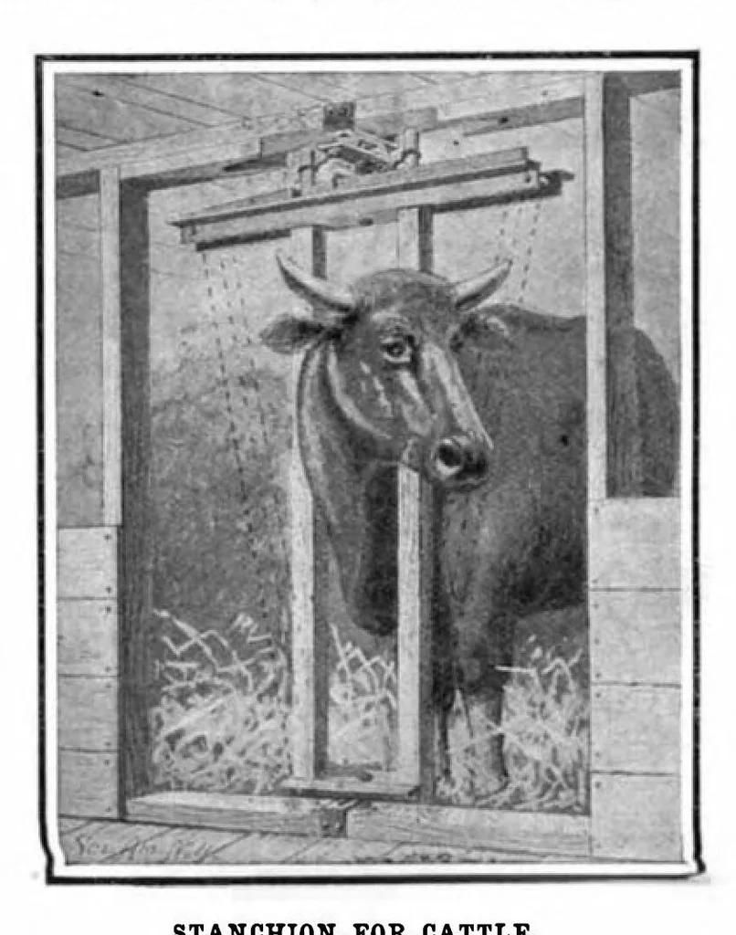 An illustration from Scientific American, Vol. 96, No. 15 (April 1907), 1907, leaf 11