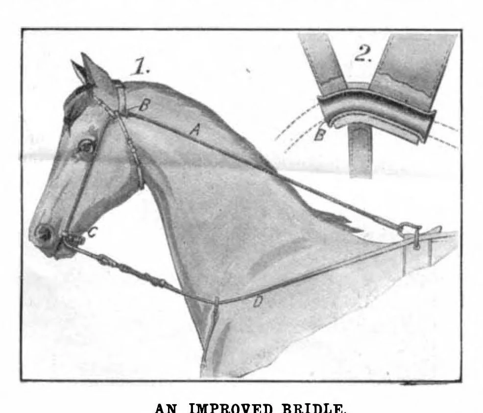 An illustration from Scientific American, Vol. 96, No. 20 (May 1907), 1907, leaf 10