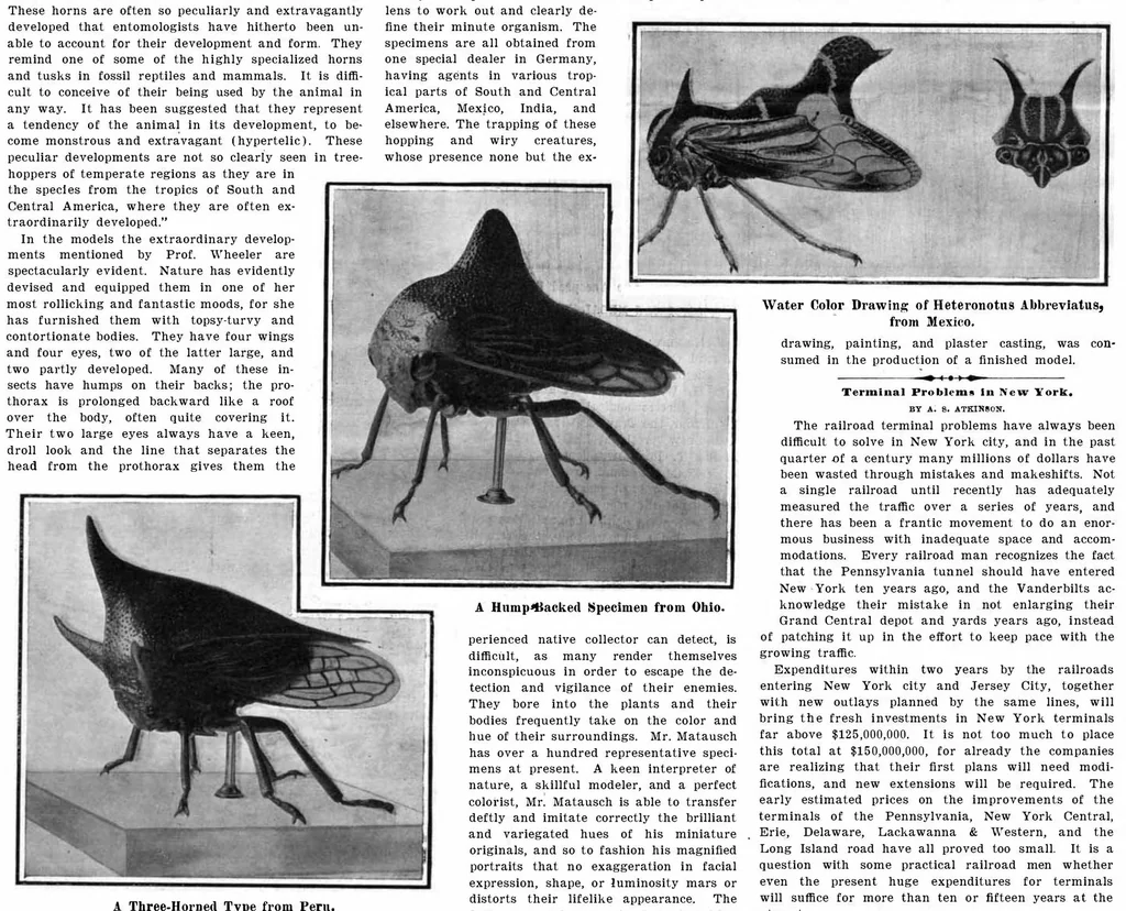 An illustration from Scientific American, Vol. 96, No. 21 (May 1907), 1907, leaf 3