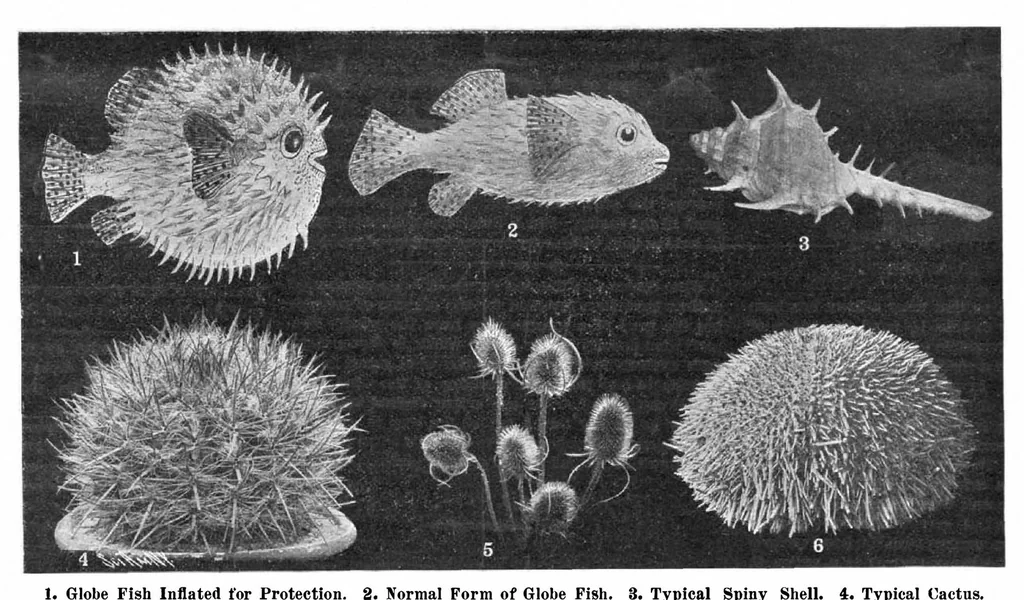 An illustration from Scientific American, Vol. 96, No. 23 (June 1907), 1907, leaf 10