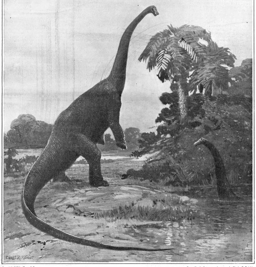 An illustration from Scientific American, Vol. 96, No. 24 (June 1907), 1907, leaf 0