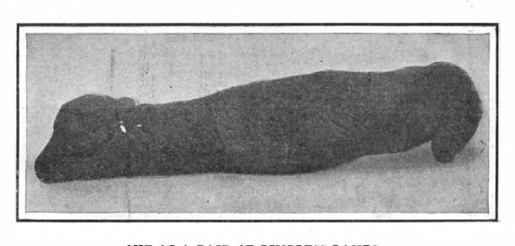 An illustration from Scientific American, Vol. 96, No. 24 (June 1907), 1907, leaf 10