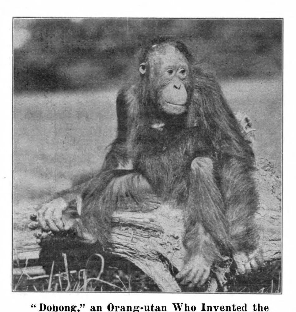 An illustration from Scientific American, Vol. 96, No. 25 (June 1907), 1907, leaf 10