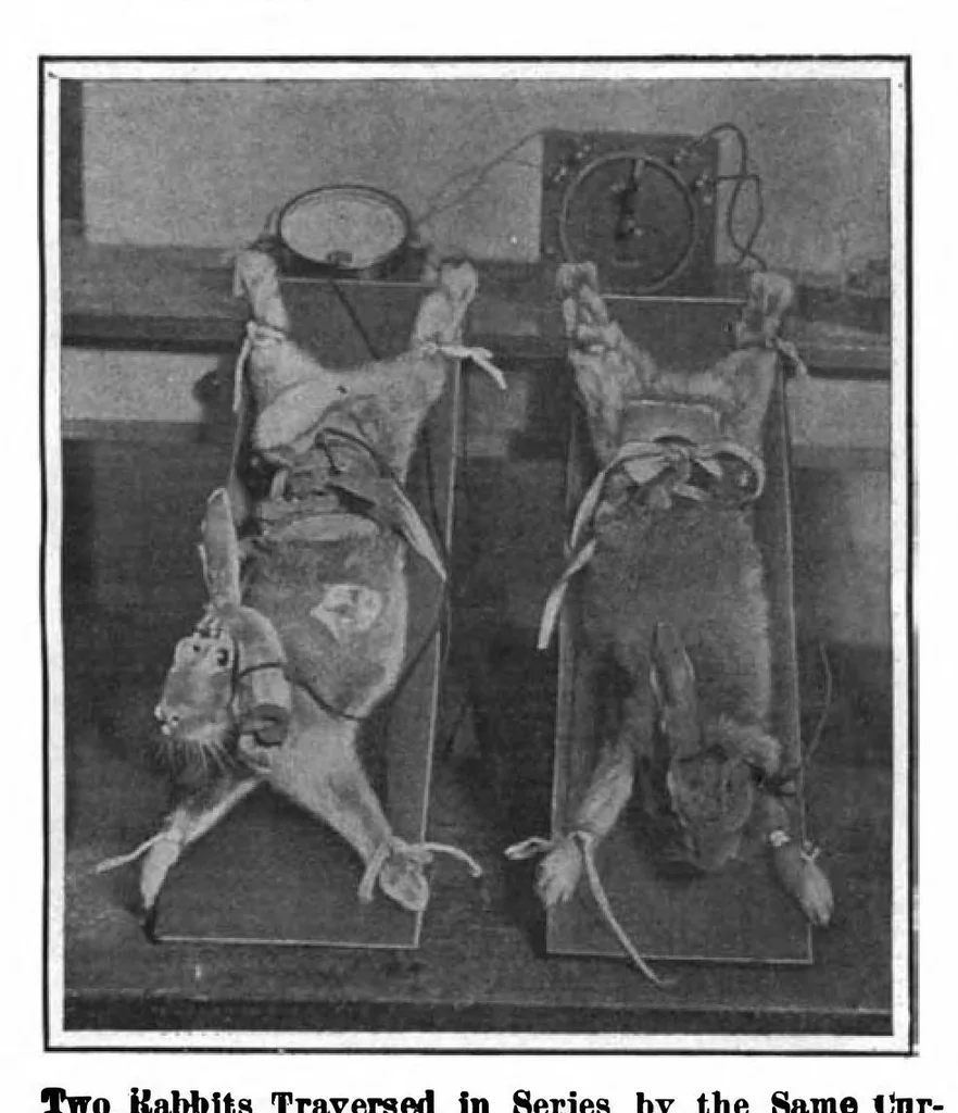 An illustration from Scientific American, Vol. 97, No. 3 (July 1907), 1907, leaf 10
