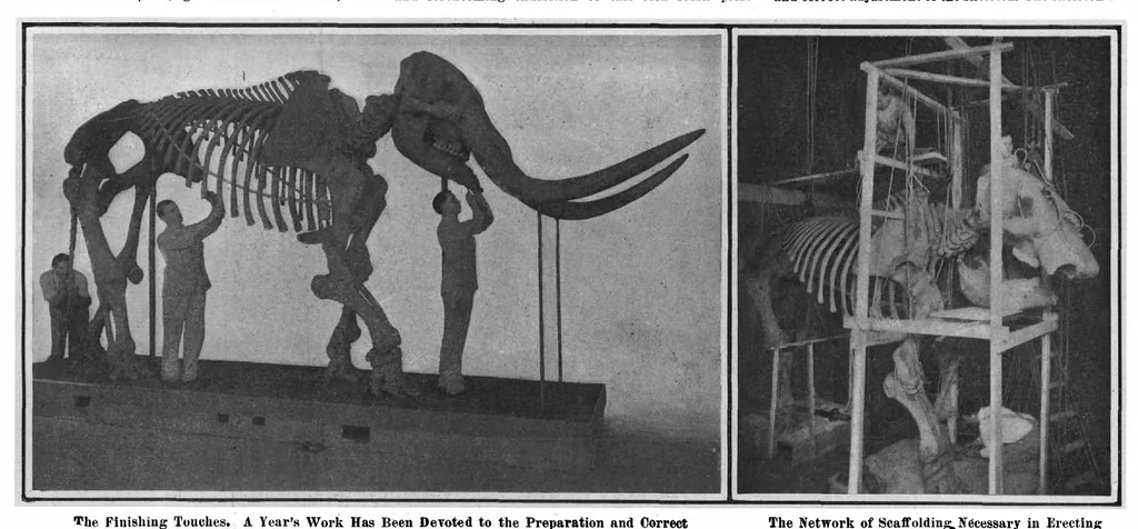 An illustration from Scientific American, Vol. 97, No. 6 (August 1907), 1907, leaf 10