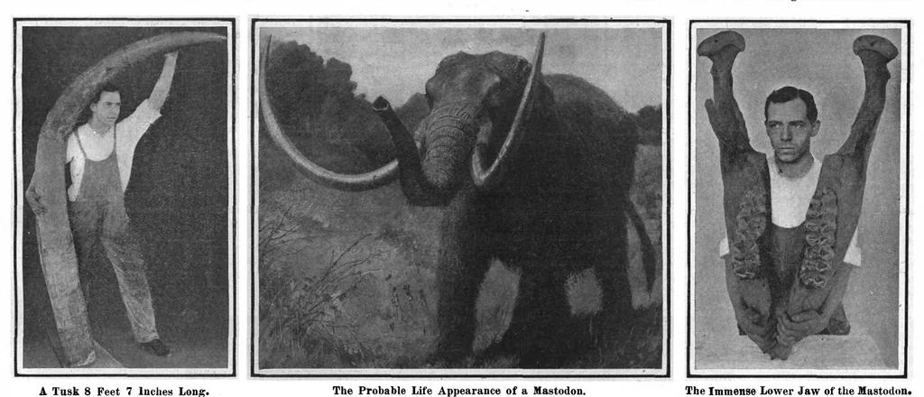 An illustration from Scientific American, Vol. 97, No. 6 (August 1907), 1907, leaf 10